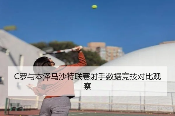 C罗与本泽马沙特联赛射手数据竞技对比观察